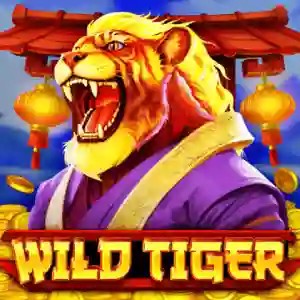 Slots logo of Wild Tiger from BGAMING at BetRiot